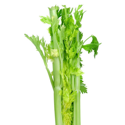 Organic Celery Bunch HALF (small half)
