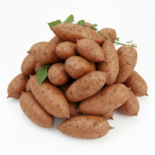 Organic Sweet Potato 15kg Box (Large)