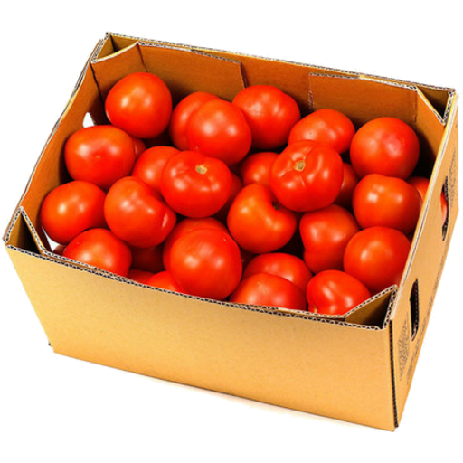 Organic Tomatoes 10kg Box