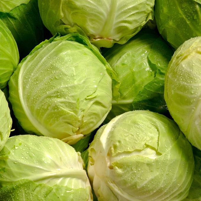 organic cabbages