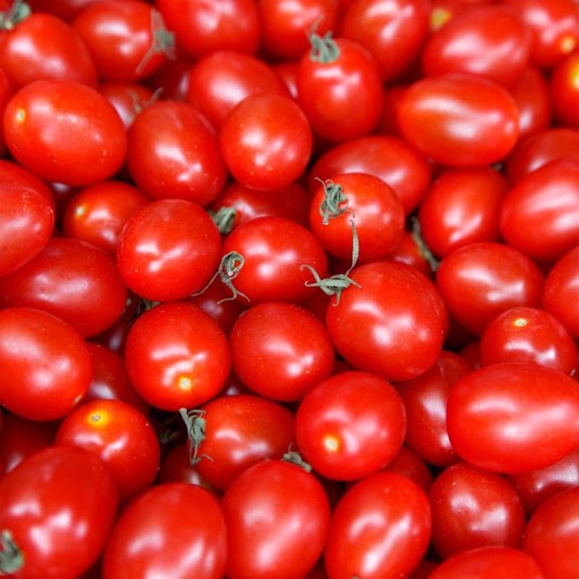 Organic Cherry Tomatoes 200g punnet