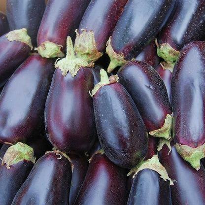 Organic Eggplant per 200g