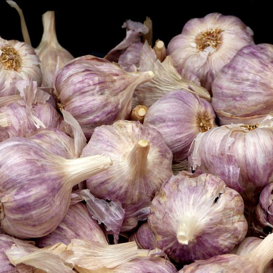 SA Organics Garlic, Purple per 100g