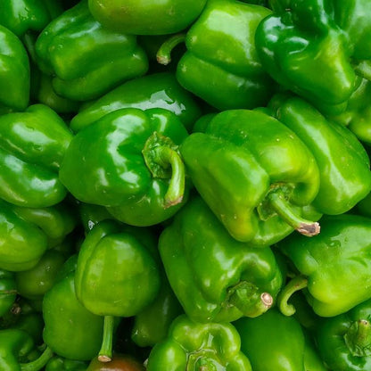 SA Organics Green Capsicum per 200g