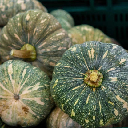 Organic Japanese Pumpkin per 500g