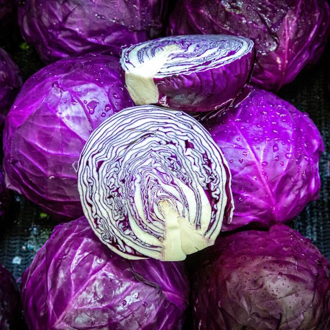 SA Organics Red Cabbage Whole Small