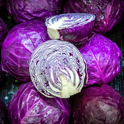 SA Organics Red Cabbage Whole Small