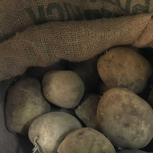 Organic Potatoes, Sebago per 250g