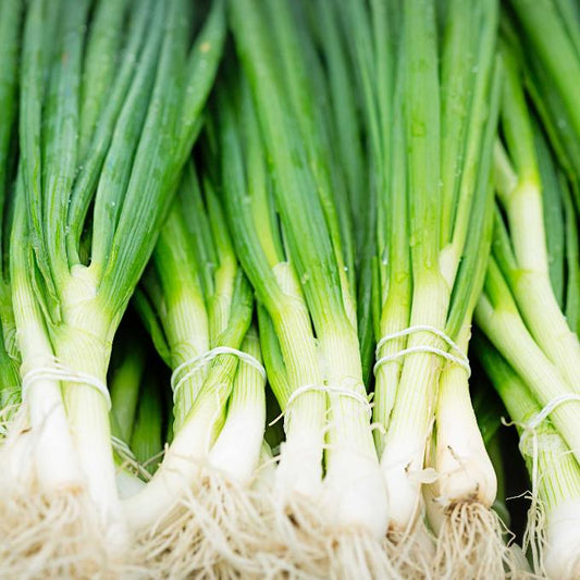 Organic Spring Onion Bunch