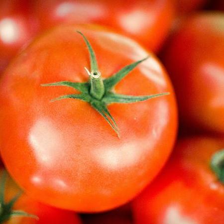 organic_tomatoes