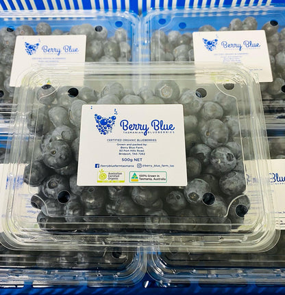 Organic Blueberries, punnet