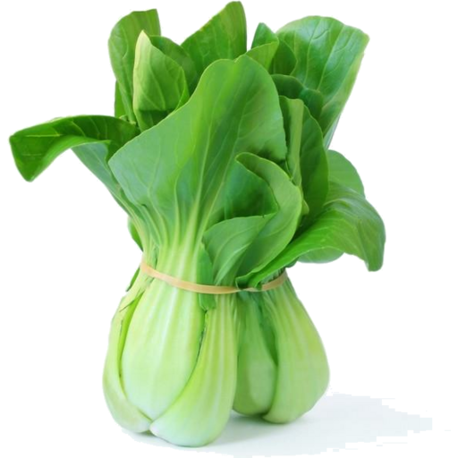 Organic Bok Choy Bunch
