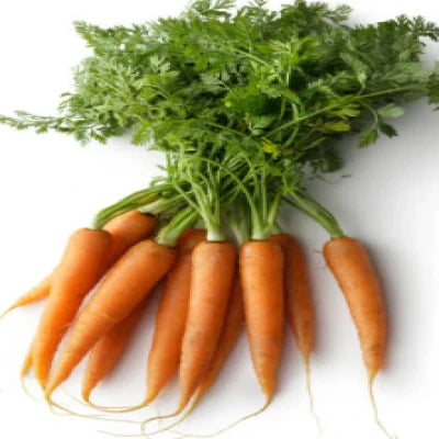 Organic Carrot bunch