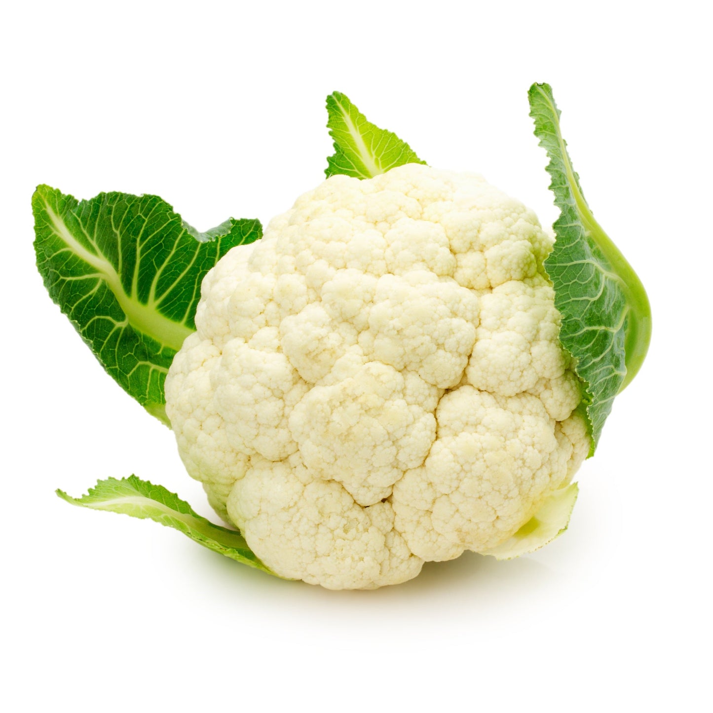 Organic Cauliflower WHOLE