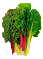 organic chard bunch