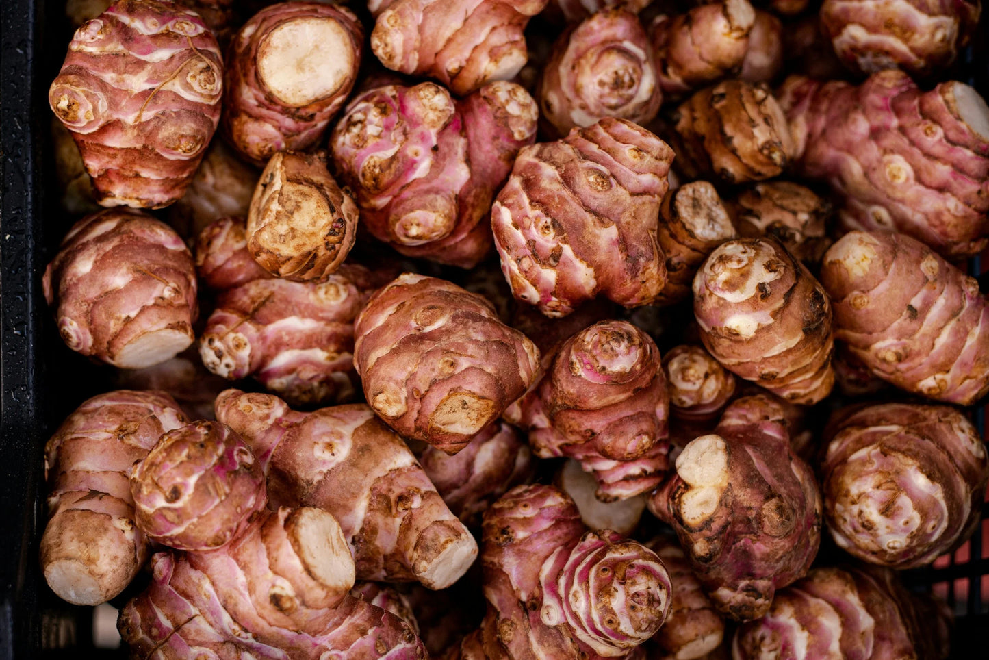 Organic Galangal 100g