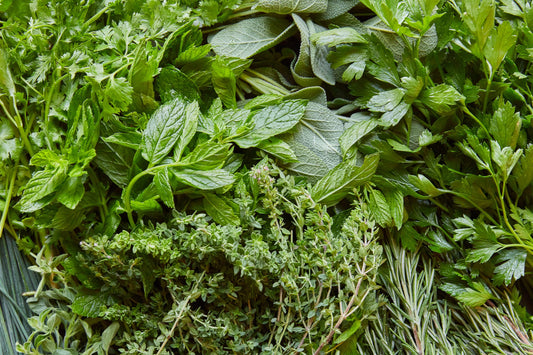 SA Organics Mixed Herb Bunch (Extra Large)