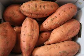 Organic LARGE Sweet Potato EACH (750g -1kg)
