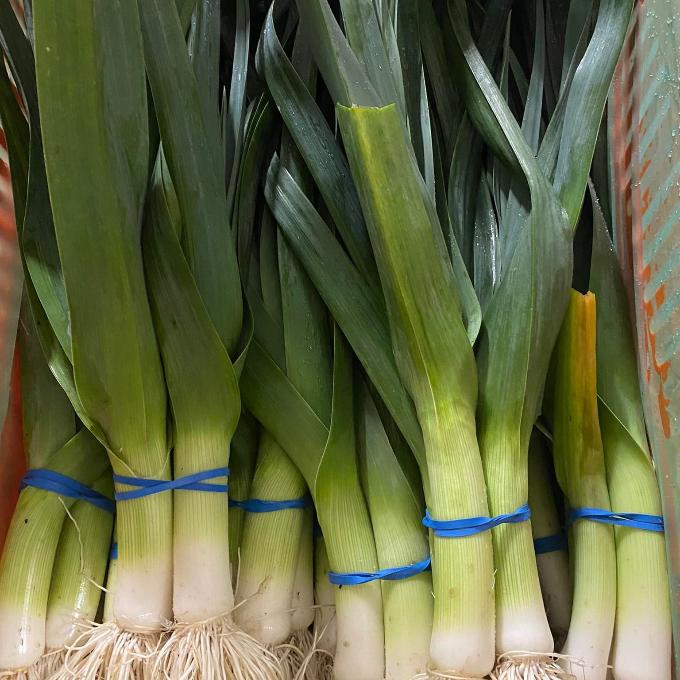 organic leek bunch