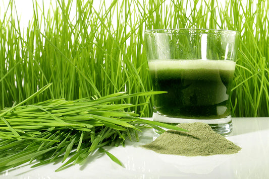 Organic Wheatgrass 100g