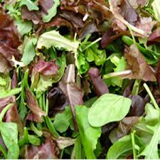 organic winter salad mix