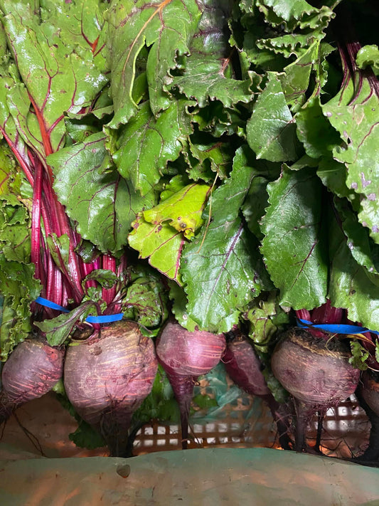 Organic Beetroot bunch