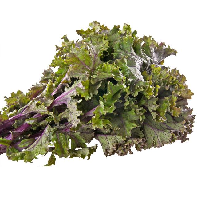 SA Organics Red Russian Kale Bunch