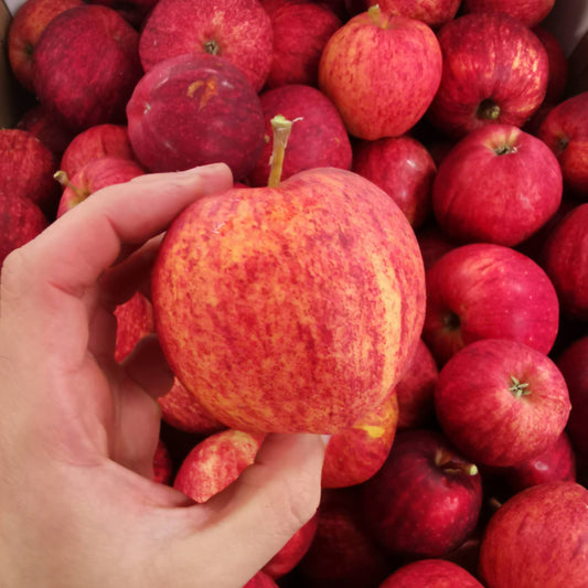 Organic Gala Apples 200g (approx 2-3 apples)