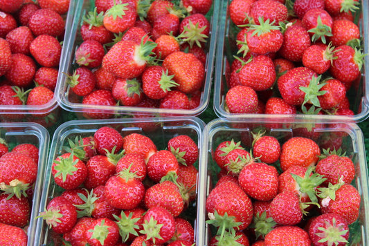 Organic Strawberries 15 punnets per tray