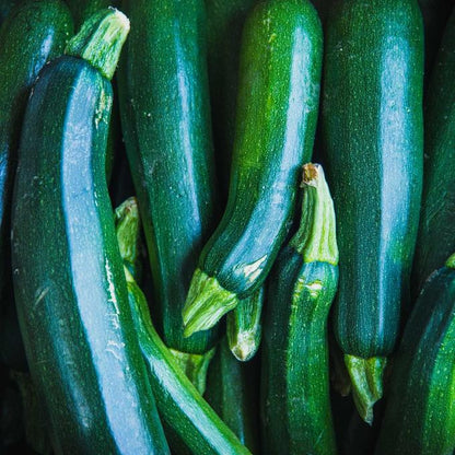 SA Organics Zucchini per 200g